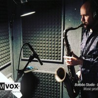 Demvox-Bonobo-Studio-DV416-6